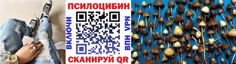 Псилоцибиновые грибы Cubensis  Мариинский Посад 
